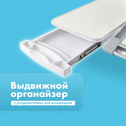 Органайзер для книг